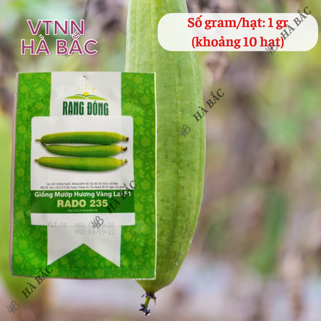 Hạt Giống Mướp Hương Vàng Lai F1 RADO 235 (Gói 1g~10 Hạt) Rạng Đông, Trái Cứng, Vận Chuyển Xa