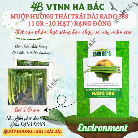 Hạt Giống Mướp Hương Thái Trái Dài RADO 388 (Gói 1g~10 Hạt) Rạng Đông, Thơm, Ngọt, Trồng Quanh Năm