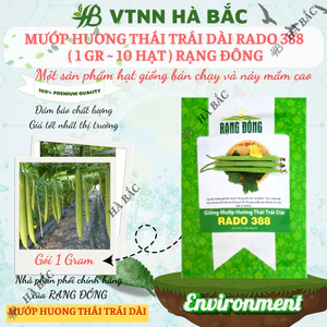 Hạt Giống Mướp Hương Thái Trái Dài RADO 388 (Gói 1g~10 Hạt) Rạng Đông, Thơm, Ngọt, Trồng Quanh Năm