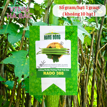 Hạt Giống Mướp Hương Thái Trái Dài RADO 388 (Gói 1g~10 Hạt) Rạng Đông, Thơm, Ngọt, Trồng Quanh Năm