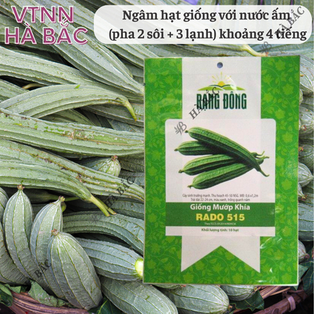 Hạt Giống Mướp Khía RADO 515 (Gói 1g~10 Hạt) Rạng Đông, Nảy Mầm Tốt, Năng Suất Cao, Trái Dài, Trồng Quanh Năm