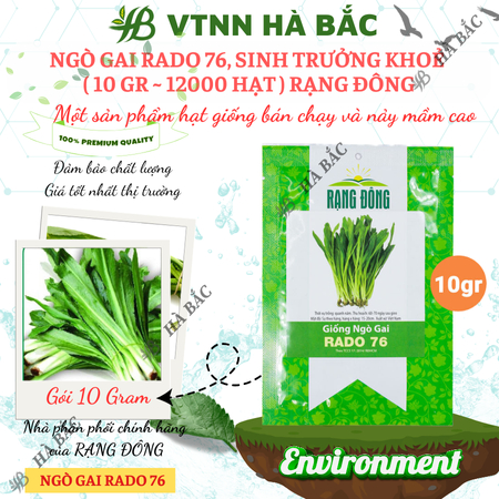 Hạt Giống Ngò Gai Rado 76 (Gói 10g~12000 Hạt) Rạng Đông, (Rau Thơm Mùi Tàu) Sinh Trưởng Khỏe, Trồng Quanh Năm