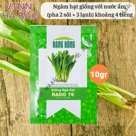 Hạt Giống Ngò Gai Rado 76 (Gói 10g~12000 Hạt) Rạng Đông, (Rau Thơm Mùi Tàu) Sinh Trưởng Khỏe, Trồng Quanh Năm
