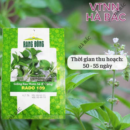 Hạt Giống Rau Thơm Sả (É Trắng) RADO 189 (Gói 5g~2000 Hạt) Rạng Đông, Sinh Trưởng Khỏe, Trồng Quanh Năm