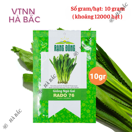 Hạt Giống Ngò Gai Rado 76 (Gói 10g~12000 Hạt) Rạng Đông, (Rau Thơm Mùi Tàu) Sinh Trưởng Khỏe, Trồng Quanh Năm