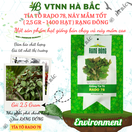Hạt Giống Tía Tô RADO 78 (Gói 2,5g~1400 Hạt) Rạng Đông, Cao Sản, Nảy Mầm Tốt, Dễ Chăm Sóc, Trồng Năm Năm