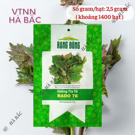 Hạt Giống Tía Tô RADO 78 (Gói 2,5g~1400 Hạt) Rạng Đông, Cao Sản, Nảy Mầm Tốt, Dễ Chăm Sóc, Trồng Năm Năm