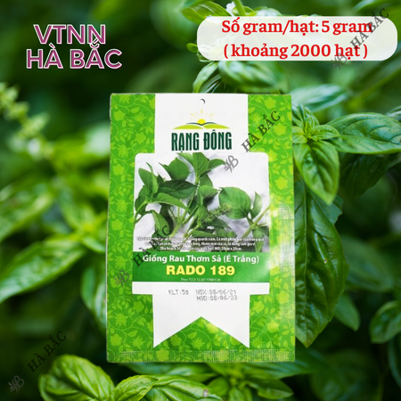 Hạt Giống Rau Thơm Sả (É Trắng) RADO 189 (Gói 5g~2000 Hạt) Rạng Đông, Sinh Trưởng Khỏe, Trồng Quanh Năm