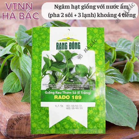 Hạt Giống Rau Thơm Sả (É Trắng) RADO 189 (Gói 5g~2000 Hạt) Rạng Đông, Sinh Trưởng Khỏe, Trồng Quanh Năm