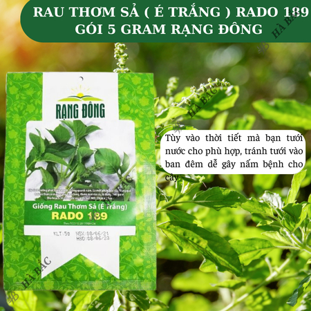 Hạt Giống Rau Thơm Sả (É Trắng) RADO 189 (Gói 5g~2000 Hạt) Rạng Đông, Sinh Trưởng Khỏe, Trồng Quanh Năm