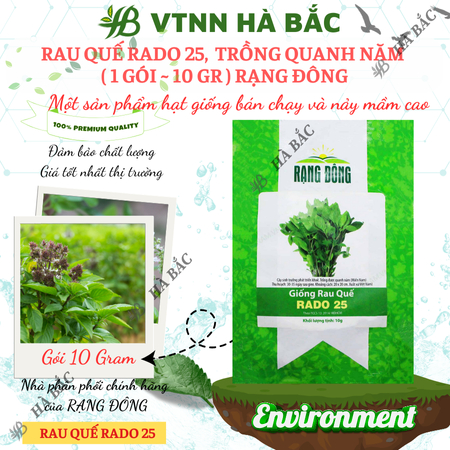 Hạt Giống Quế Lá To RADO 25 (Gói 10g~5000 Hạt) Rạng Đông, Thu Hoạch Nhiều Lần, Trồng Quanh Năm