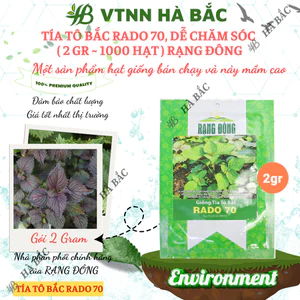 Hạt Giống Tía Tô Bắc RADO 70 (Gói 2g~1000 Hạt) Rạng Đông, Cây Phát Triển Mạnh, Trồng Quanh Năm, Dễ Chăm Sóc