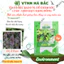 Hạt Giống Tía Tô Bắc RADO 70 (Gói 2g~1000 Hạt) Rạng Đông, Cây Phát Triển Mạnh, Trồng Quanh Năm, Dễ Chăm Sóc