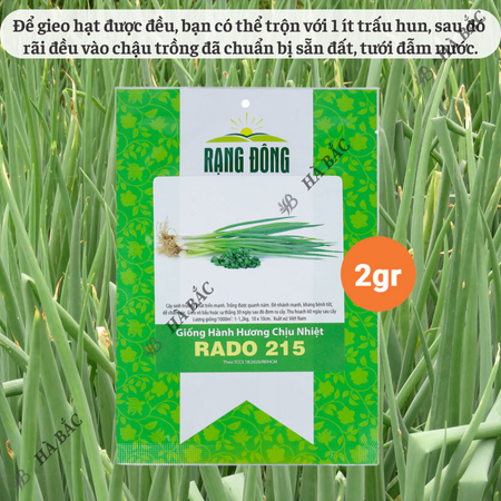 Hạt Giống Hành Hương Chịu Nhiệt RADO 215 (Gói 2g~600 Hạt) Rạng Đông Sinh Trưởng Mạnh, Trồng Quanh Năm