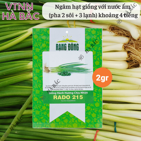 Hạt Giống Hành Hương Chịu Nhiệt RADO 215 (Gói 2g~600 Hạt) Rạng Đông Sinh Trưởng Mạnh, Trồng Quanh Năm
