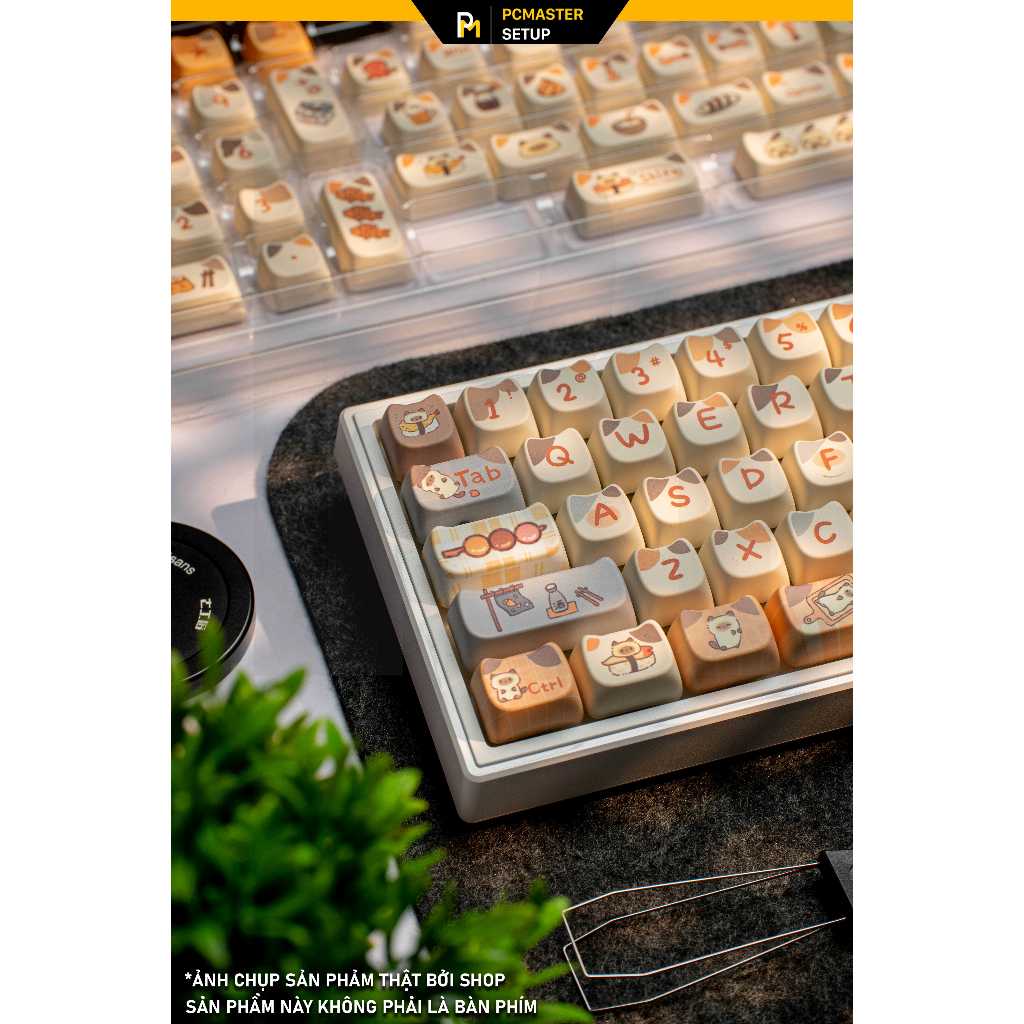 Keycap Shushi Cat profile MAO chất liệu nhựa pbt họa tiết in dyesub ...