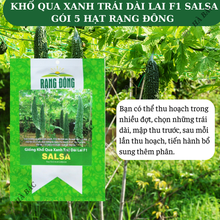Hạt Giống Khổ Qua Xanh Trái Dài Salsa RADO (Gói 5 Hạt) Rạng Đông, Trồng Quanh Năm, Trái Sai, Năng Suất Ổn Định