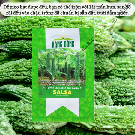 Hạt Giống Khổ Qua Xanh Trái Dài Salsa RADO (Gói 5 Hạt) Rạng Đông, Trồng Quanh Năm, Trái Sai, Năng Suất Ổn Định