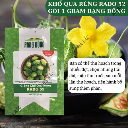 Hạt Giống Khổ Qua Rừng RADO 52 (Gói 1g~10 Hạt) Rạng Đông, Trái Sai, Kháng Bệnh Tốt, Trồng Quanh Năm