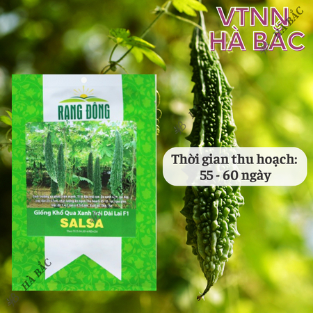 Hạt Giống Khổ Qua Xanh Trái Dài Salsa RADO (Gói 5 Hạt) Rạng Đông, Trồng Quanh Năm, Trái Sai, Năng Suất Ổn Định