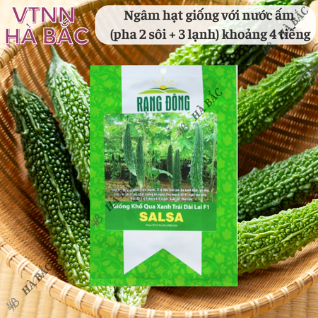 Hạt Giống Khổ Qua Xanh Trái Dài Salsa RADO (Gói 5 Hạt) Rạng Đông, Trồng Quanh Năm, Trái Sai, Năng Suất Ổn Định