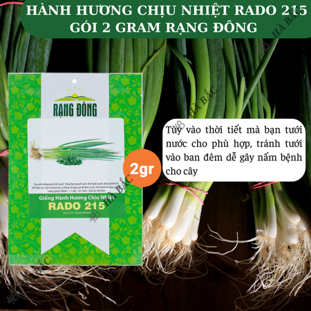 Hạt Giống Hành Hương Chịu Nhiệt RADO 215 (Gói 2g~600 Hạt) Rạng Đông Sinh Trưởng Mạnh, Trồng Quanh Năm