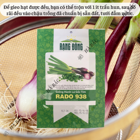 Hạt Giống Hành Lá Gốc Tím RADO 938 (Gói 2g~300 Hạt) Rạng Đông, Trồng Quanh Năm, Gốc To, Khỏe
