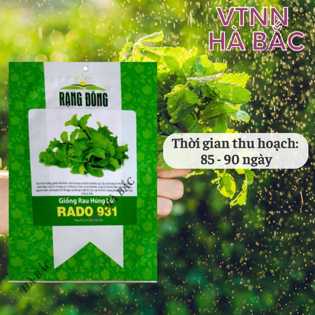 Hạt Giống Húng Lủi RADO 931 (Gói 0,2g~700 Hạt) Rạng Đông, Thu Hoạch Nhiều Lần,Trồng Quanh Năm