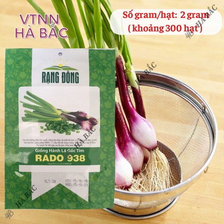 Hạt Giống Hành Lá Gốc Tím RADO 938 (Gói 2g~300 Hạt) Rạng Đông, Trồng Quanh Năm, Gốc To, Khỏe