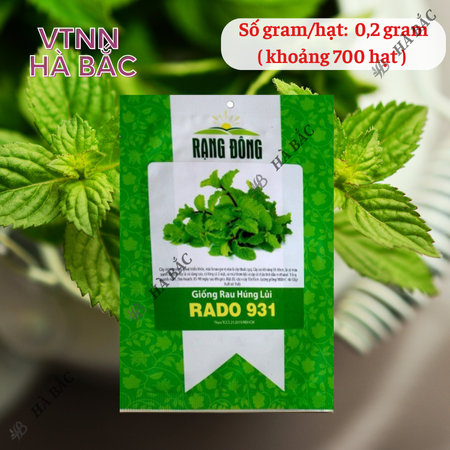 Hạt Giống Húng Lủi RADO 931 (Gói 0,2g~700 Hạt) Rạng Đông, Thu Hoạch Nhiều Lần,Trồng Quanh Năm