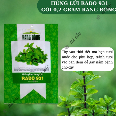 Hạt Giống Húng Lủi RADO 931 (Gói 0,2g~700 Hạt) Rạng Đông, Thu Hoạch Nhiều Lần,Trồng Quanh Năm