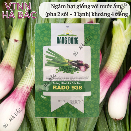 Hạt Giống Hành Lá Gốc Tím RADO 938 (Gói 2g~300 Hạt) Rạng Đông, Trồng Quanh Năm, Gốc To, Khỏe