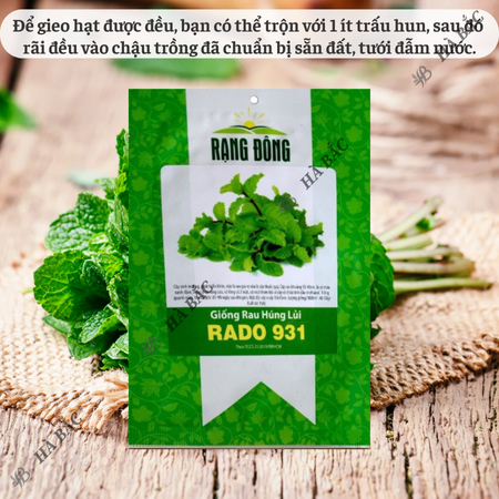Hạt Giống Húng Lủi RADO 931 (Gói 0,2g~700 Hạt) Rạng Đông, Thu Hoạch Nhiều Lần,Trồng Quanh Năm