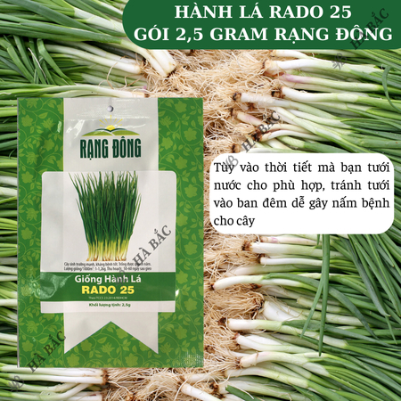 Hạt Giống Hành Lá RADO 25 (Gói 2,5g~700 Hạt) Rạng Đông, Cây Phát Triển Mạnh, Trồng Quanh Năm, Dễ Chăm Sóc