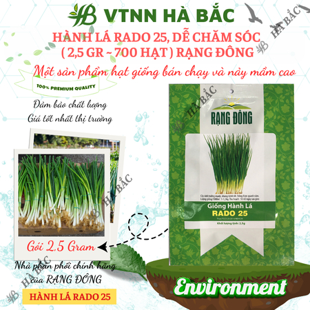 Hạt Giống Hành Lá RADO 25 (Gói 2,5g~700 Hạt) Rạng Đông, Cây Phát Triển Mạnh, Trồng Quanh Năm, Dễ Chăm Sóc