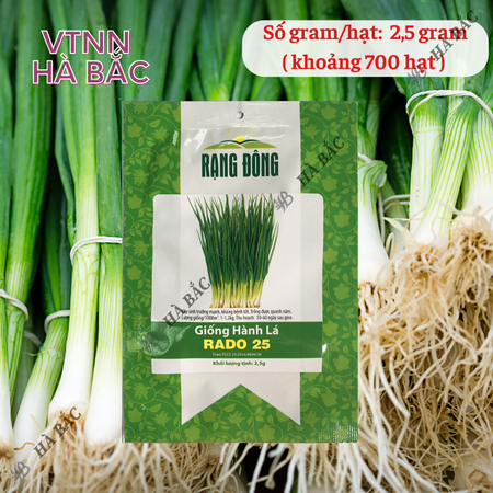 Hạt Giống Hành Lá RADO 25 (Gói 2,5g~700 Hạt) Rạng Đông, Cây Phát Triển Mạnh, Trồng Quanh Năm, Dễ Chăm Sóc