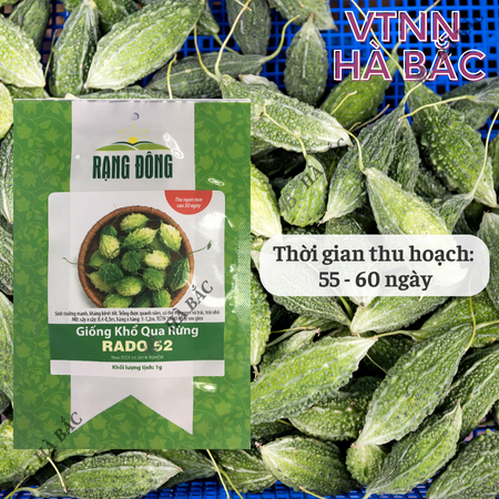 Hạt Giống Khổ Qua Rừng RADO 52 (Gói 1g~10 Hạt) Rạng Đông, Trái Sai, Kháng Bệnh Tốt, Trồng Quanh Năm