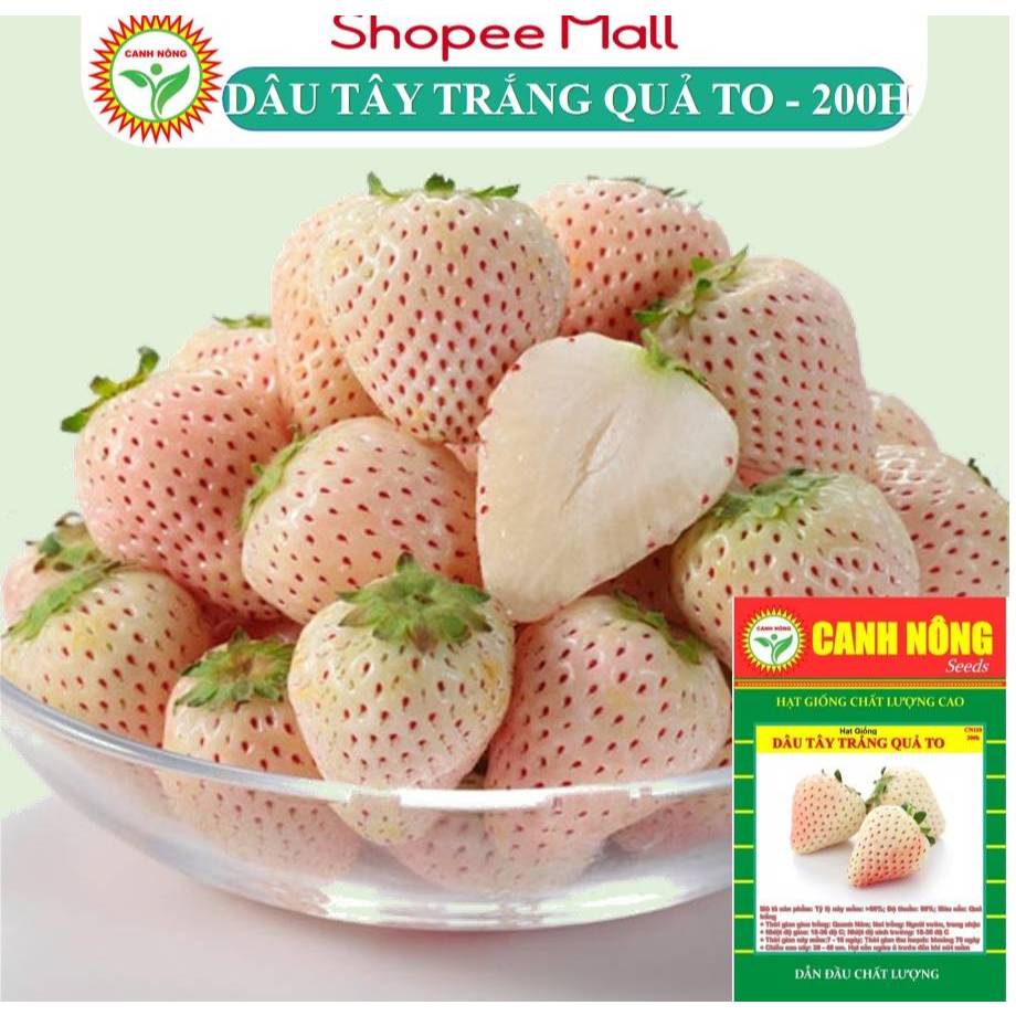 Hạt giống Dâu Tây Trắng Quả To (0,05g 200 hạt) hương vị độc đáo, phù hợp khí hậu mát mẻ - Hạt giống CANH NÔNG