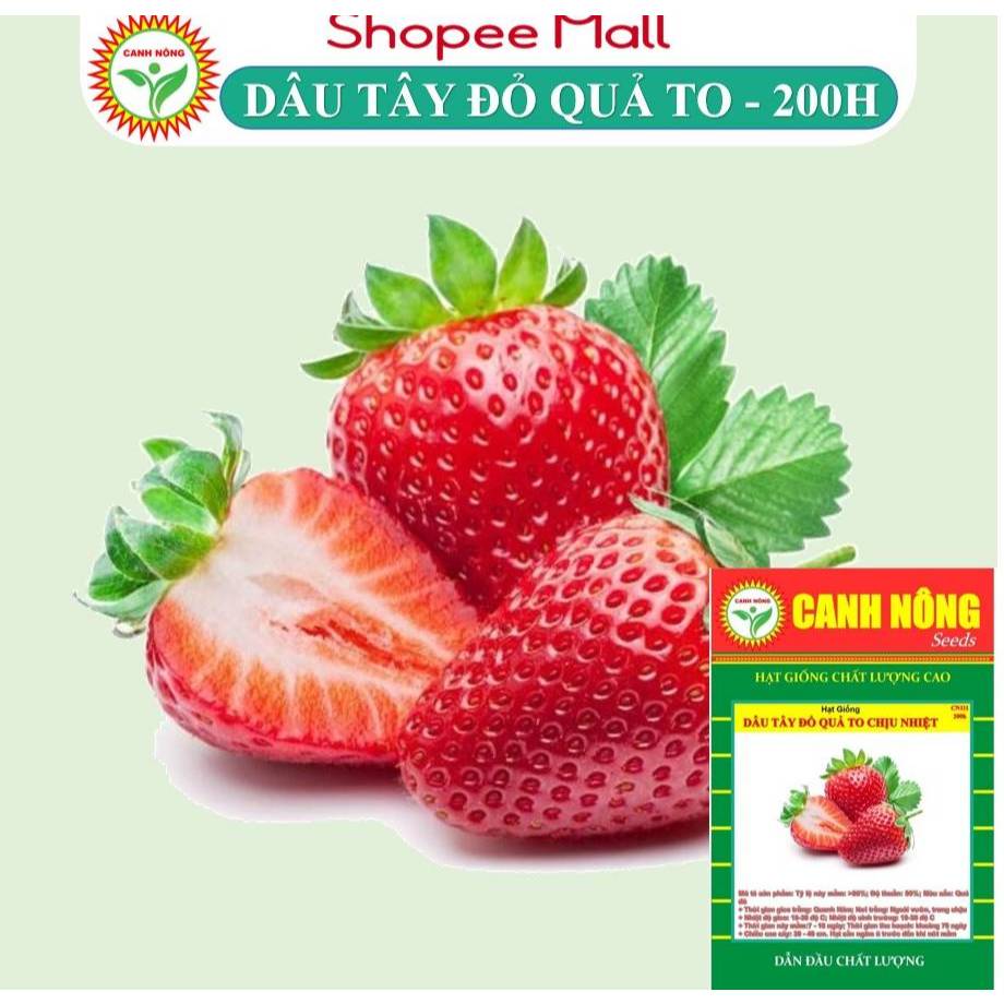 Hạt giống Dâu Tây Đỏ (0.05g 200 hạt) trái đỏ, to, chịu nhiệt tốt, sinh trưởng khỏe, ít sâu bệnh - Hạt giống CANHNÔNG