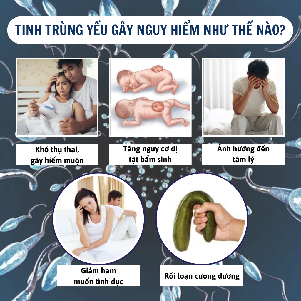 Trà bổ tinh trùng Calen Nature Farm tăng nồng độ tập trung của tinh trùng, cải thiện khả năng vận động của tinh binh