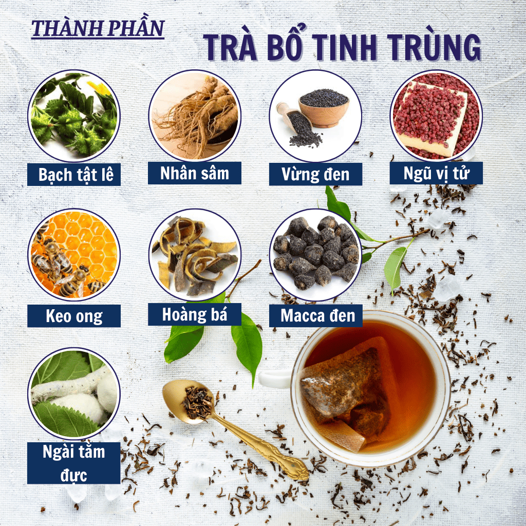 Trà bổ tinh trùng Calen Nature Farm tăng nồng độ tập trung của tinh trùng, cải thiện khả năng vận động của tinh binh