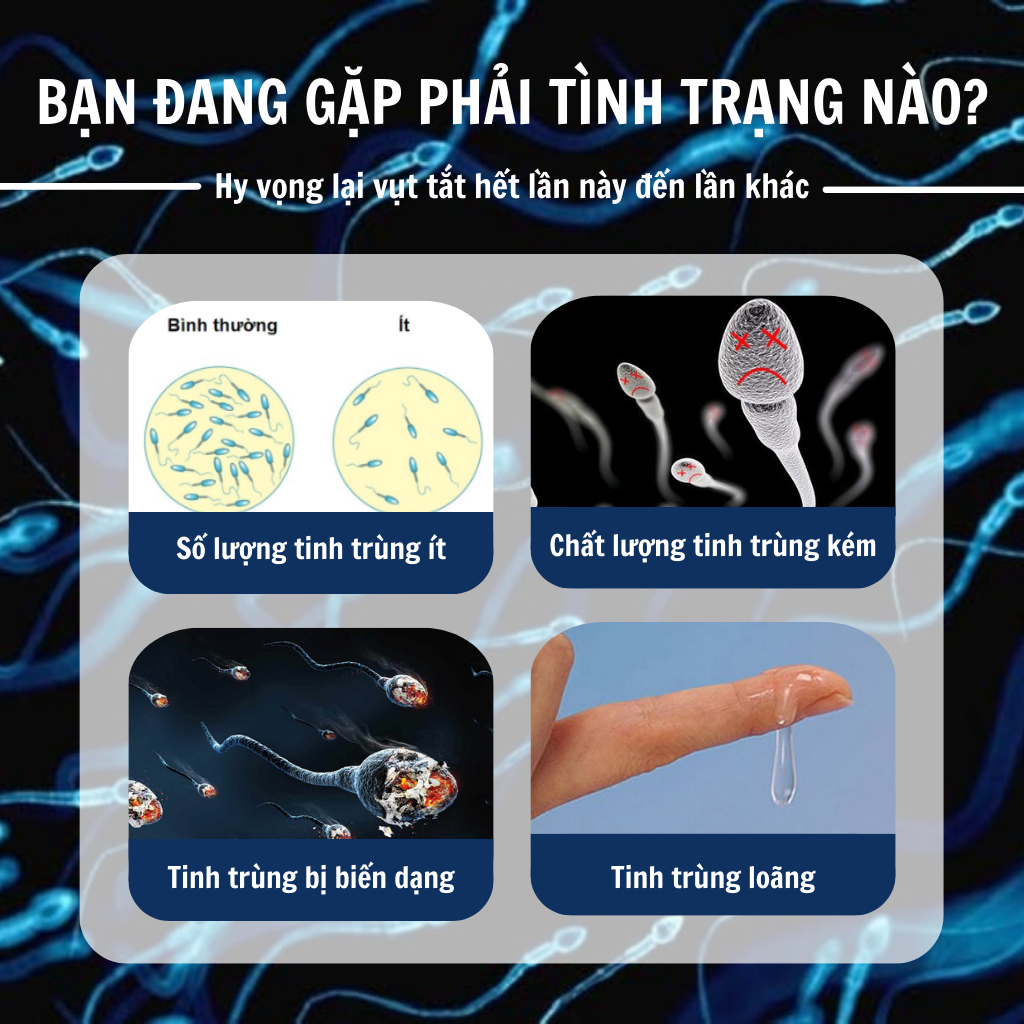 Trà bổ tinh trùng Calen Nature Farm tăng nồng độ tập trung của tinh trùng, cải thiện khả năng vận động của tinh binh