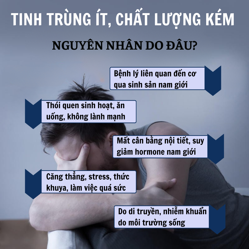 Trà bổ tinh trùng Calen Nature Farm tăng nồng độ tập trung của tinh trùng, cải thiện khả năng vận động của tinh binh