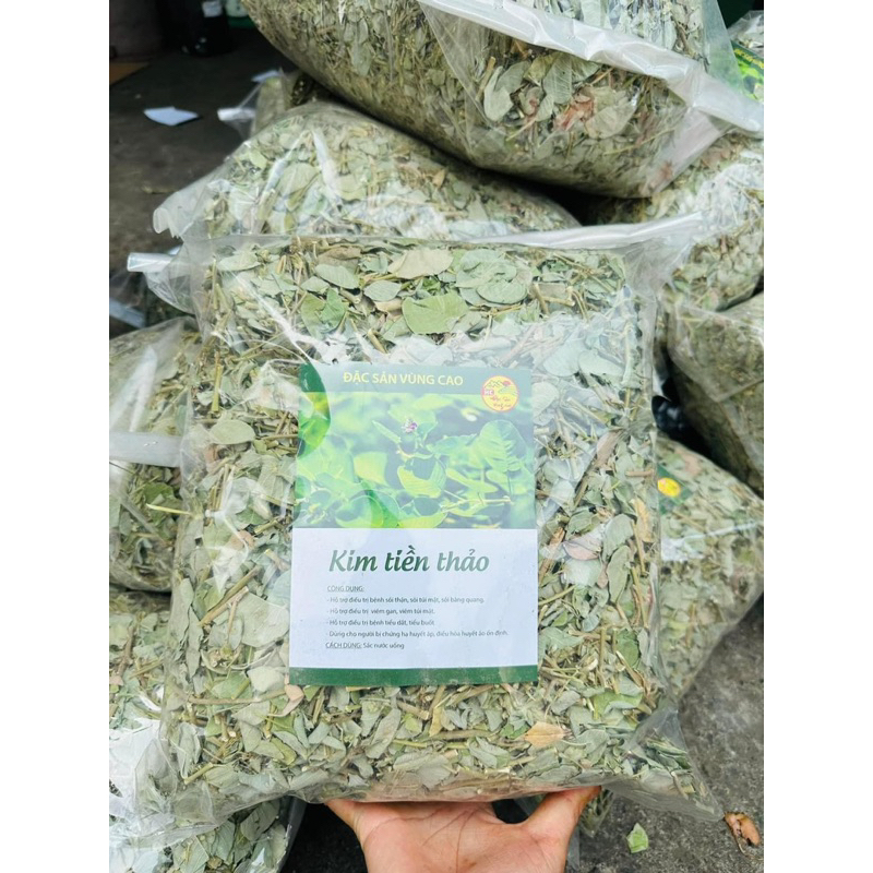 Kim tiền thảo 1kg (Kim tiền khô, râu mèo lợi tiểu, tiêu sỏi)