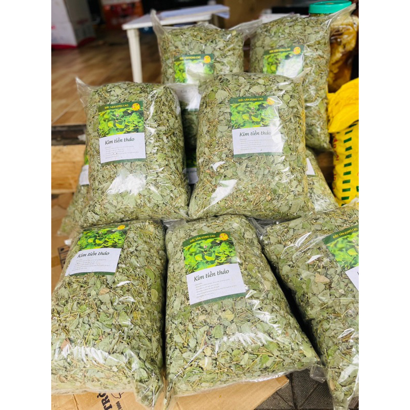 Kim tiền thảo 1kg (Kim tiền khô, râu mèo lợi tiểu, tiêu sỏi)