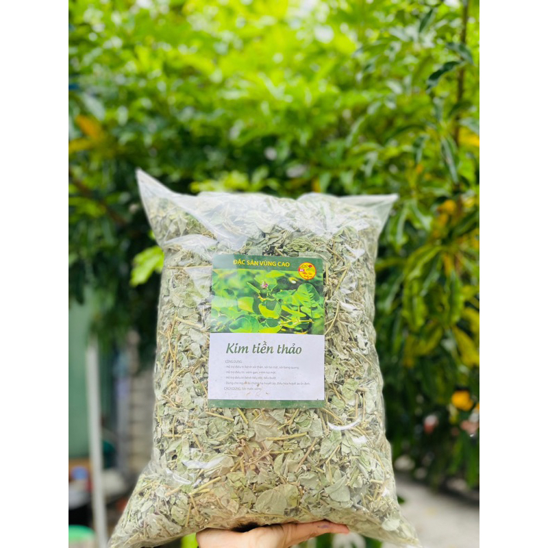 Kim tiền thảo 1kg (Kim tiền khô, râu mèo lợi tiểu, tiêu sỏi)