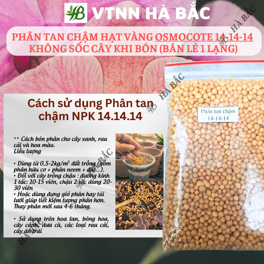 Phân Tan Chậm Hạt Vàng Osmocote 14-14-14 Không Sốc Cây Khi Bón Phong Lan Cây Kiểng Bonsai (Bán Lẻ 1 Lạng)