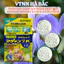 Phân Tan Chậm Hạt Trắng Nhật Bản Hyponex Magamp K 6-40-6-15 (Gói 600gram)