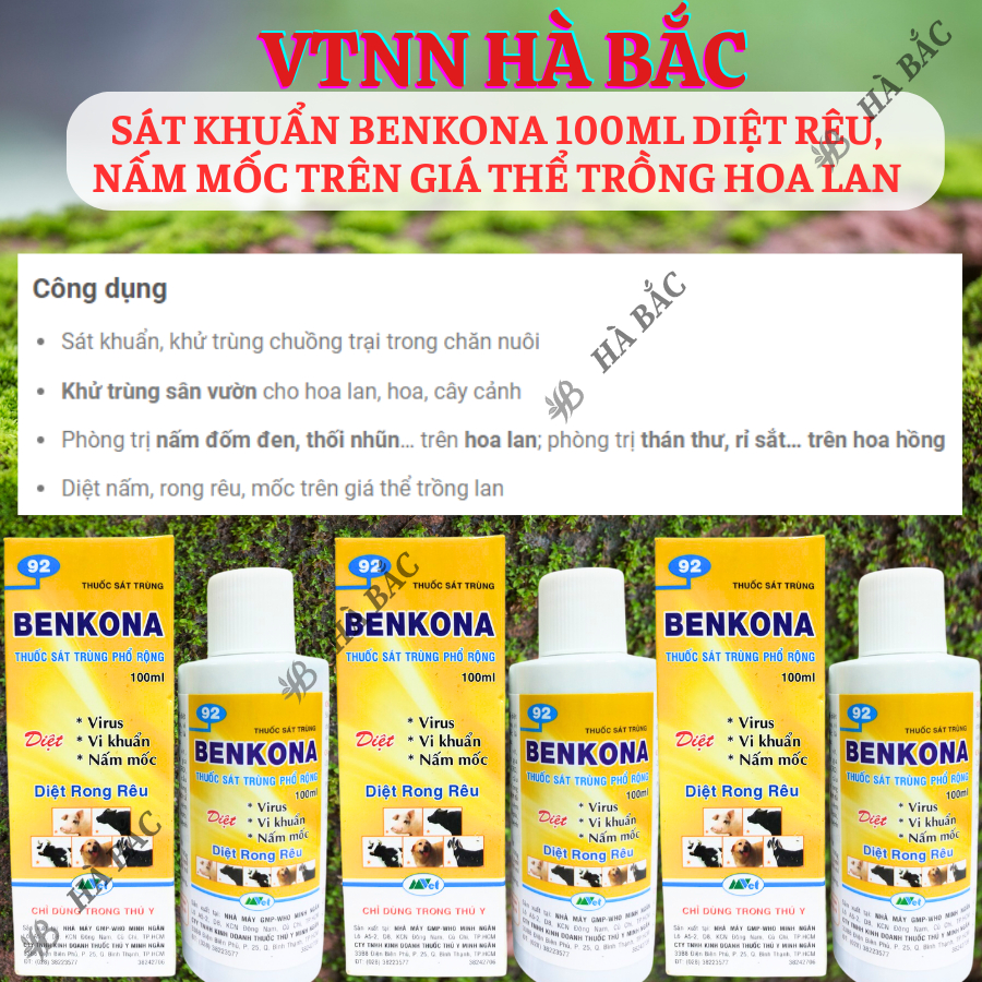 Chế Phẩm Sát Khuẩn Benkona Minh Ngân - Diệt Rêu, Nấm Mốc Trên Giá Thể Trồng Hoa Lan (100ml)