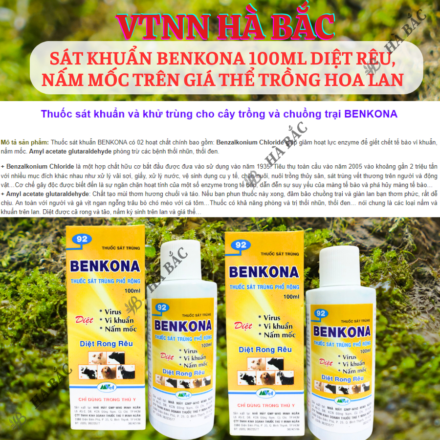 Chế Phẩm Sát Khuẩn Benkona Minh Ngân - Diệt Rêu, Nấm Mốc Trên Giá Thể Trồng Hoa Lan (100ml)
